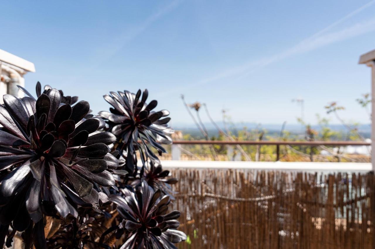 El Balcon De Vejer Apartman Vejer de la Frontera Kültér fotó